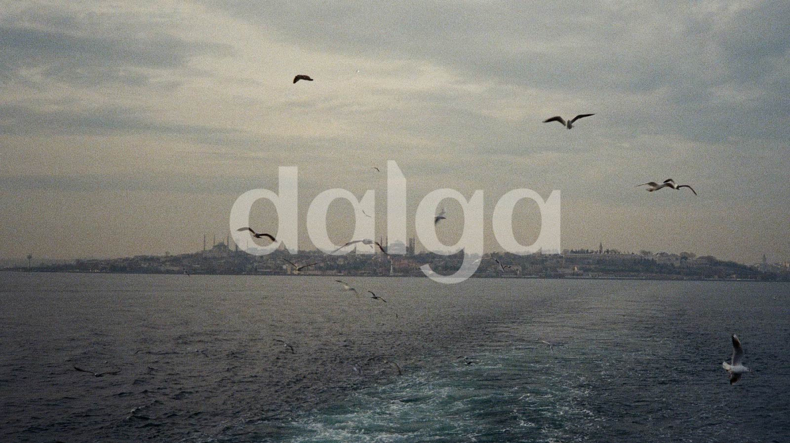 🌊 Dalga: Wordmark
