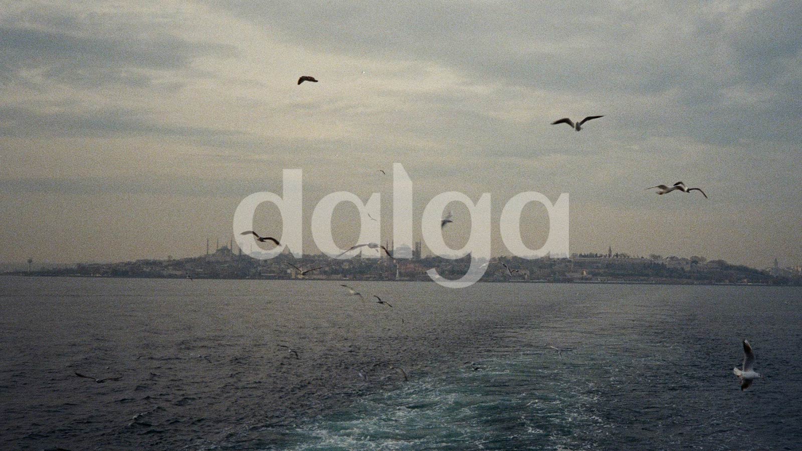 🌊 Dalga: Wordmark